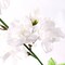 4.5-Foot White Cherry Blossom Garland - Set of 6 Lifelike Silk Flowers & Foliage, Ideal Spring Garlands for Party, Event, Home & Office Decor - Floral Home by Artificial Flowers